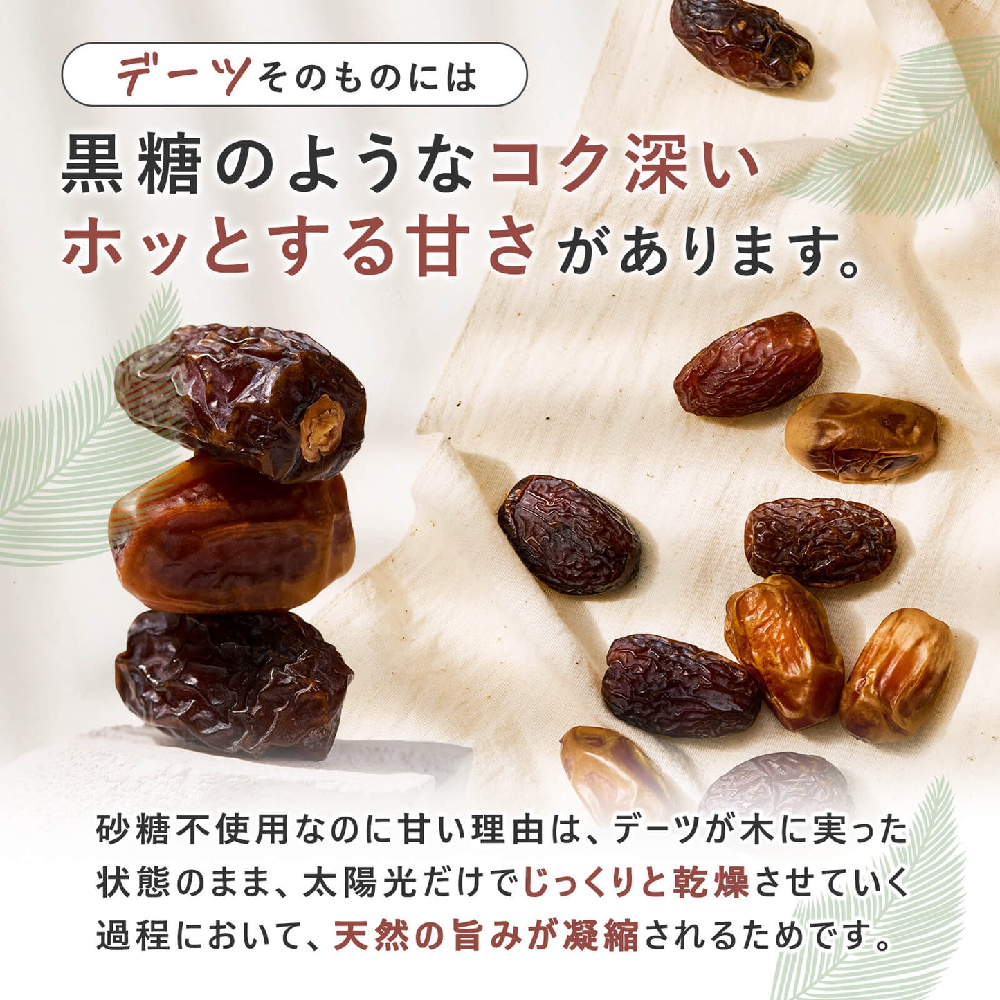 マジョール種デーツ  3袋セット