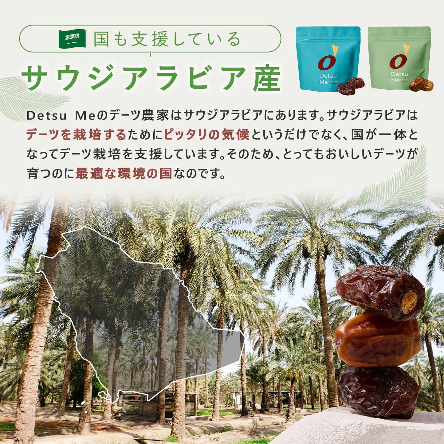 マジョール種デーツ  3袋セット