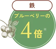 鉄ブルーベリーの4倍
