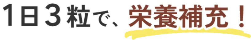 一日3粒で、栄養補充
